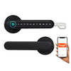 Cerradura Inteligente Tuya Smart F3